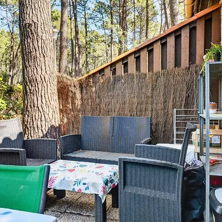 Les Pins Corniche De L'aubarede - Maeva - Maisonnette 4 Personnes Au Coeur Des Pins - Confort Mae-6533 *
