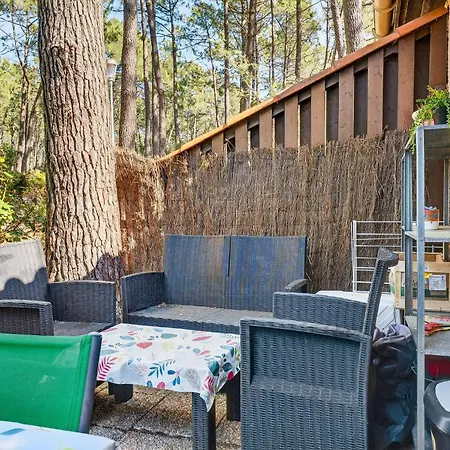 Résidence Les Pins Corniche De L'aubarede - Maeva - Maisonnette 2 Personnes Au Cœur Des Pins - Confort Mae-6533 Appartement
